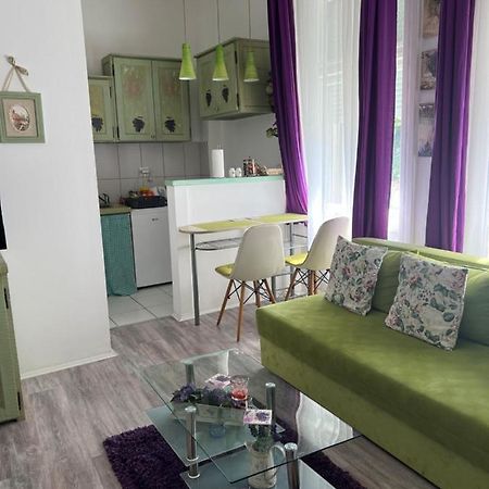 Center Cosy Vintage Apartment ノヴィ・サド エクステリア 写真