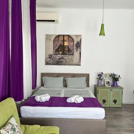 Center Cosy Vintage Apartment ノヴィ・サド エクステリア 写真