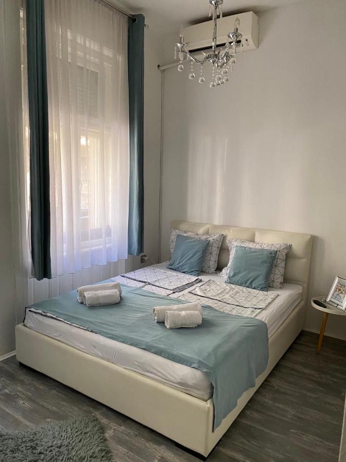 Center Cosy Vintage Apartment ノヴィ・サド エクステリア 写真