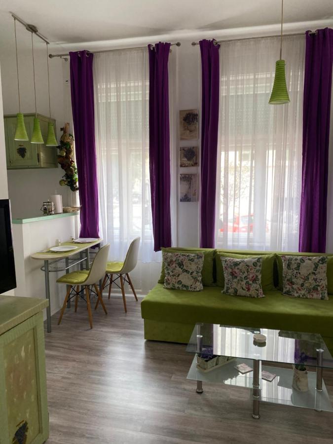Center Cosy Vintage Apartment ノヴィ・サド エクステリア 写真