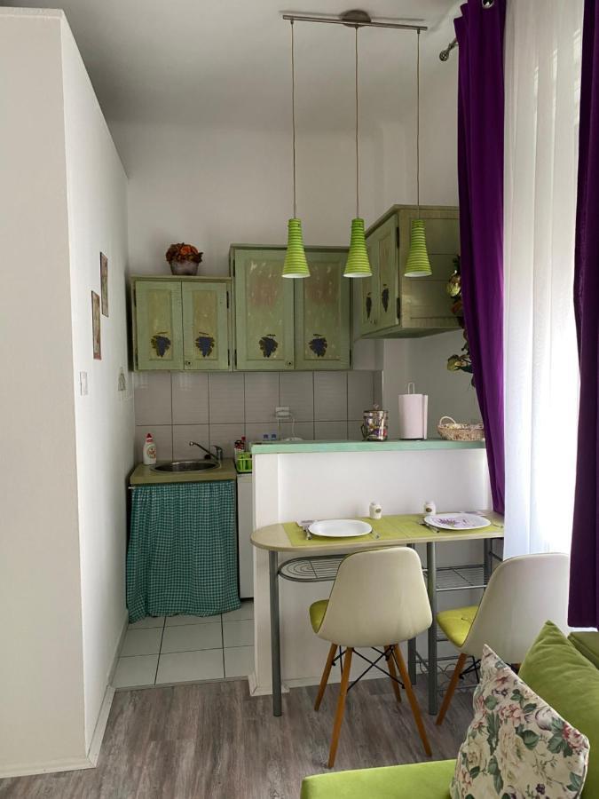 Center Cosy Vintage Apartment ノヴィ・サド エクステリア 写真