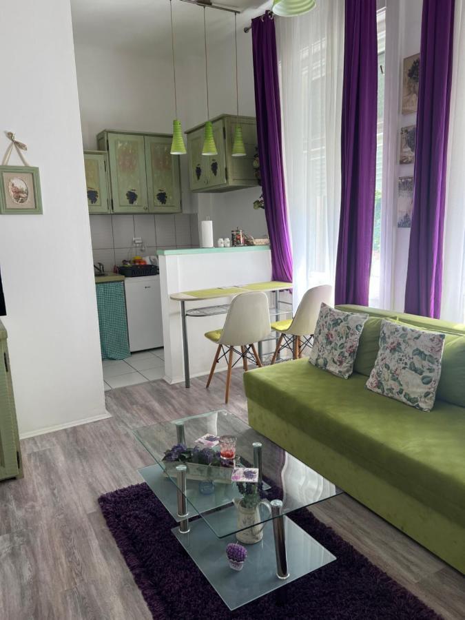 Center Cosy Vintage Apartment ノヴィ・サド エクステリア 写真