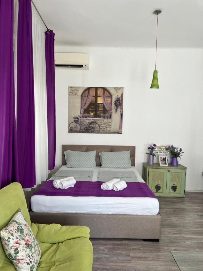 Center Cosy Vintage Apartment ノヴィ・サド エクステリア 写真